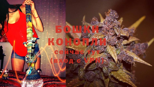 шишки Богородицк