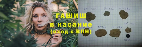 шишки Богородицк