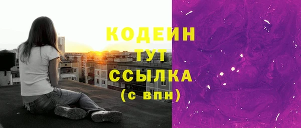 шишки Богородицк