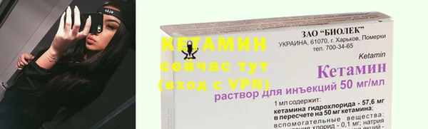 шишки Богородицк