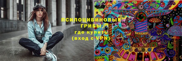 метамфетамин Богданович