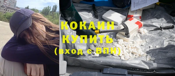 шишки Богородицк