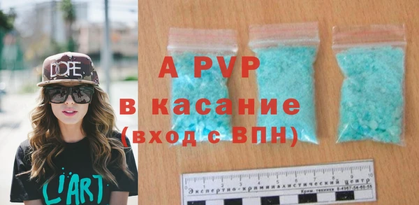 шишки Богородицк