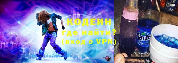 шишки Богородицк