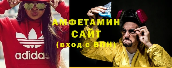 шишки Богородицк