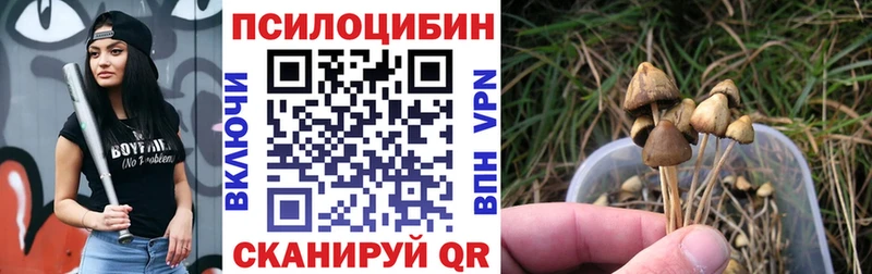 Галлюциногенные грибы MAGIC MUSHROOMS  купить наркоту  Тула 